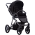 Flavio-10-S1.png