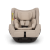 Nuna_TODLnext_Biscotti_Front_GL_web_7d17.png