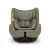Nuna_TODLnext_Pine_Front_GL_web_e4b8.png